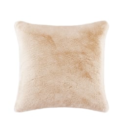 Noisette
