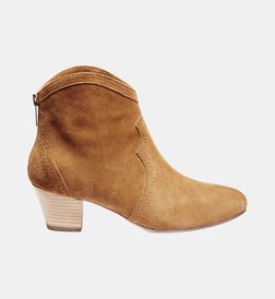 Camel