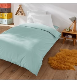 Bleu céladon