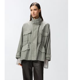 Gris colombe sauvage