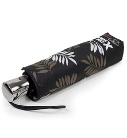 Feuille kaki
