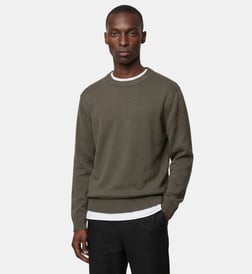 Kaki olive