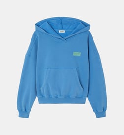 Bleu vintage