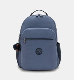 Bleu gris