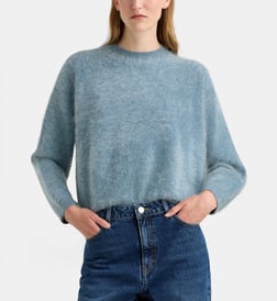 Bleu canard