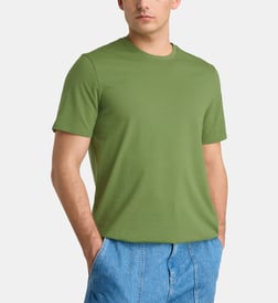 Vert fougère