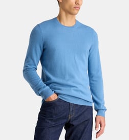 Bleu canard