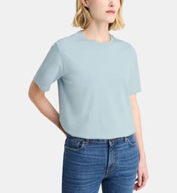 Bleu grisé