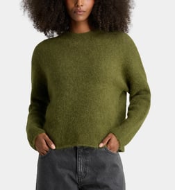 Vert fougère