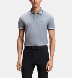 Gris bleu