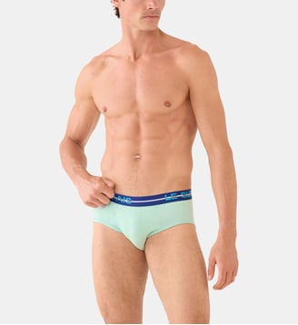 Slip en coton Le Slip Francais