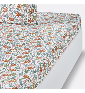 Drap housse coton La Redoute Interieurs