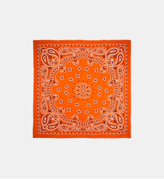 Grand foulard à motifs PAISLEY - Wild - Terre