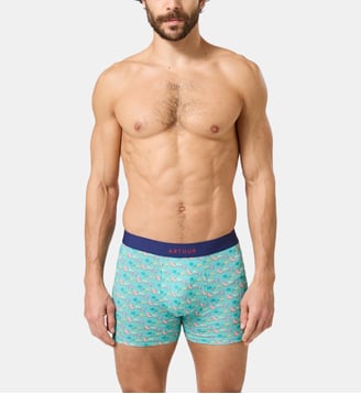 Boxer - Transat - Arthur - Vert