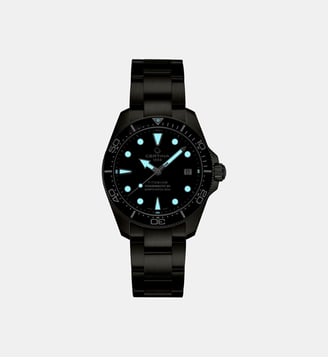 Montre automatique Ds action Noir, Rose C0488074405101 - Certina - Gris