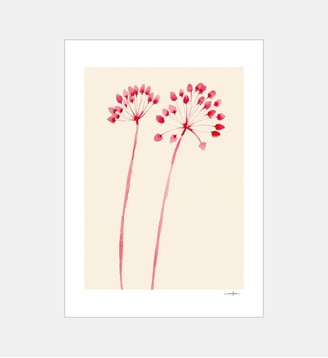 Poster   Flowers 02 - The Poster Club x Ana Frois - Poster & Frame - Multicolore
