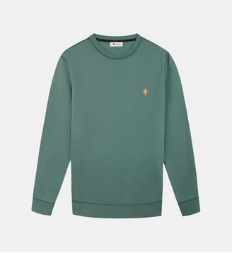 Sweat DONZY - Faguo - Vert clair grisé