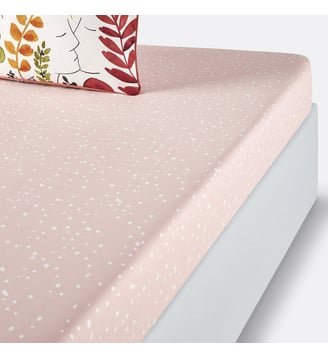 Drap housse percale de coton La Redoute Interieurs