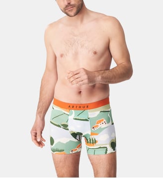 Boxer - Campagne - Arthur - Vert