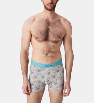 Boxer Tout schuss - Arthur - Gris