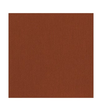 Serviette pur coton - Garnier Thiebaut - Sienne