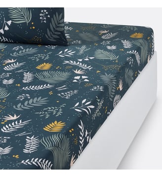 Drap housse percale de coton La Redoute Interieurs