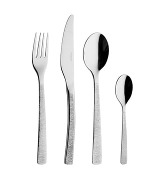 Coffret 24 Couverts Monobloc Lame Scie - Astree Cisele Degrenne