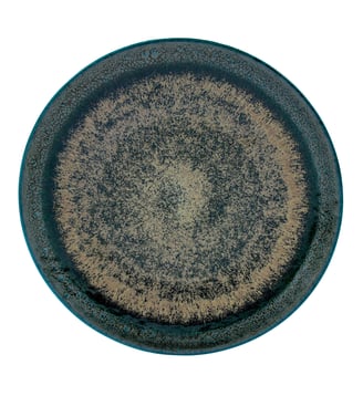 Assiette plate Couzon