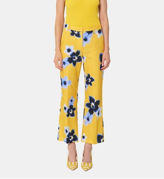 Pantalon Pampille - Tara Jarmon - Mimosa
