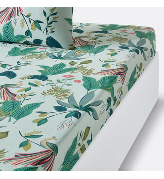 Drap housse percale de coton - La Redoute Interieurs - Multicolore