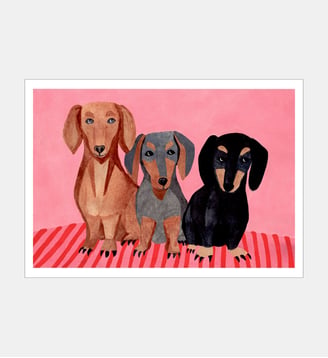 Poster   Dachshunds - Iga Kosicka - Poster & Frame - Multicolore