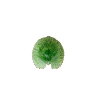 Feuille Alchémille Riviera - Costa Nova - Rouge tomate