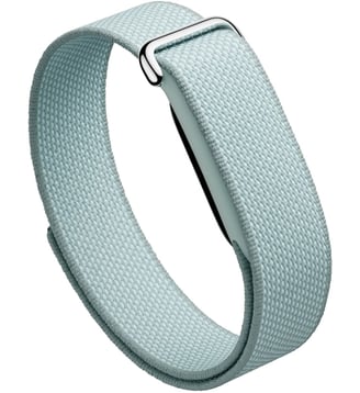 Bracelet connecté FITBIT Air Brume Google