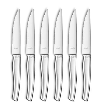 Coffret couteaux steak - Amefa - Noir