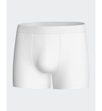 Boxer Executive - Impetus - Blanc