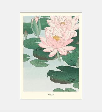 Poster   Water Lily - A.P. Atelier - Poster & Frame - Multicolore