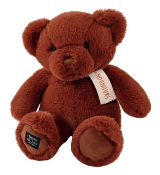 Peluche le Nounours Histoire D'Ours