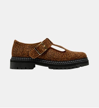 Derbies Romane - Odaje - Léopard