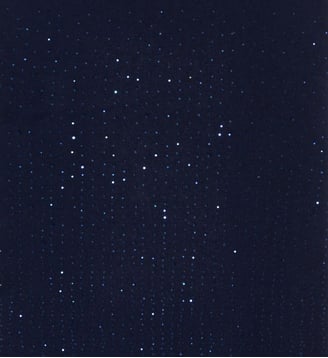 Echarpe en laine à strass - SIA Gerard Darel