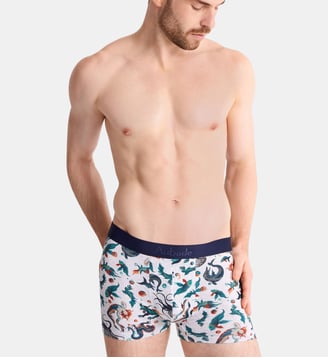 Boxer classique Aubade