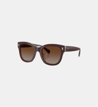 Lunettes de soleil Ovale RA5301U - Polo Ralph Lauren - Marron laiteux brillant