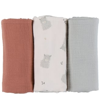 Lot de 3 langes - Noukie's - Multicolore