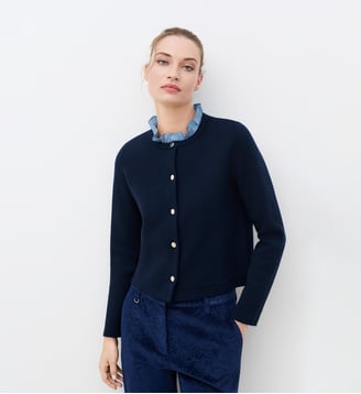 Pull mdelwyn - Motif uni - Caroll - Bleu marine