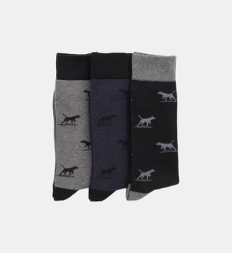 Lot de 3 paires de chaussettes en coton Dogs-A-Plenty Rodd & Gunn