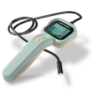 Endoscope - Kidywolf - Vert d'eau