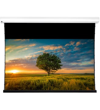 Ecran de projection COLISEUM EXTRA BRIGHT 240C - Lumene - Standard