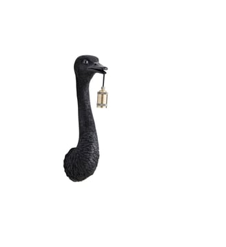 Applique Ostrich - Light & Living - Noir