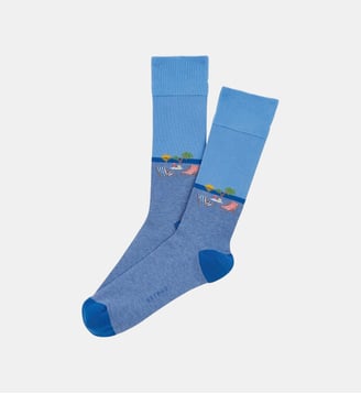 Chaussettes en coton - Transat Bleu - Arthur - Bleu