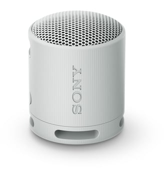 Enceinte portable SRS-XB100 Gris Perle - Sony - Gris