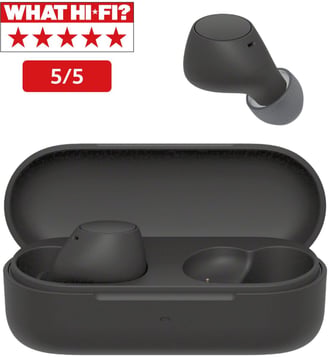 Ecouteurs WF-C510 Noir - Sony - Noir